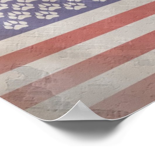 Furry American Flag Poster (Ecke)