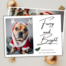 Furry and Bright Pet Hund Foto Mistletoe Weihnacht