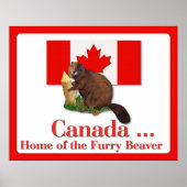 Furry Beaver Poster (Vorne)