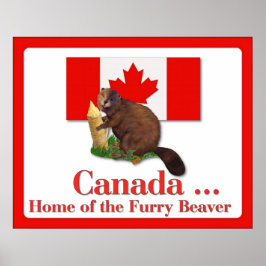 Furry Beaver Poster