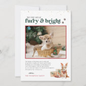Furry & Bright | Foto-Karte für den Urlaub für Hau Einladung (Vorderseite)