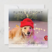 Furry & Bright | Foto Weihnachtskarte Feiertagskarte (Vorderseite)