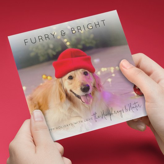 Furry & Bright | Foto Weihnachtskarte Feiertagskarte