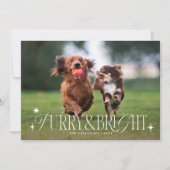 Furry & Bright Hund Horizontal Foto Weihnachten (Vorderseite)