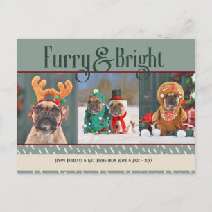 Furry & Bright Hund Weihnachts-Foto Weihnachtsfeie Feiertagspostkarte