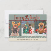 Furry & Bright Hund Weihnachts-Foto Weihnachtskart Dankeskarte (Vorderseite)