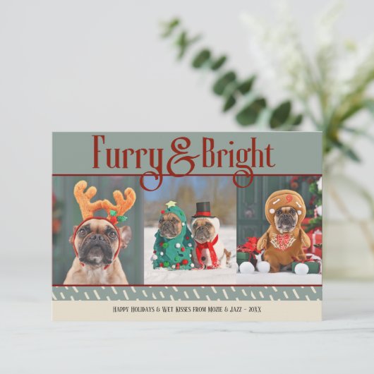 Furry & Bright Hund Weihnachts-Foto Weihnachtskart Dankeskarte (Stehend Vorderseite)