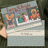 Furry & Bright Hund Weihnachts-Foto Weihnachtskart Dankeskarte