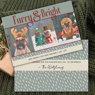 Furry & Bright Hund Weihnachts-Foto Weihnachtskart Dankeskarte