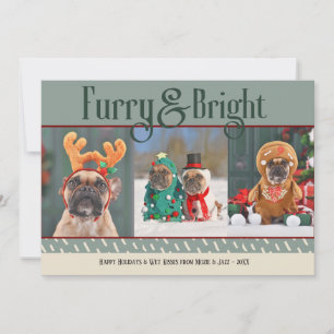 Furry & Bright Hund Weihnachts-Foto Weihnachtskart Feiertagskarte