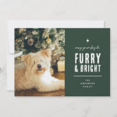 Furry & Bright Modern Dog Foto Collage Weihnachten (Vorderseite)