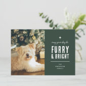 Furry & Bright Modern Dog Foto Collage Weihnachten (Stehend Vorderseite)