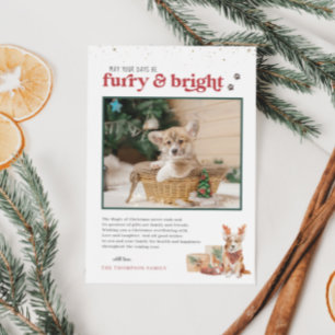 Furry & Bright   Pet Holiday Photo Card Einladung