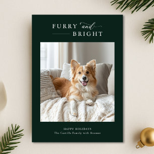 Furry & Bright Simple Dog Weihnachten 2 Foto Grün