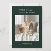 Furry & Bright Simple Dog Weihnachten 2 Foto Grün (Vorderseite)