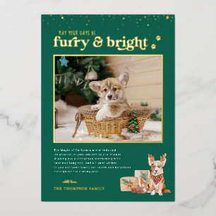 Furry & Bright   Weihnachtskarte für Haustiere Folien Feiertagskarte