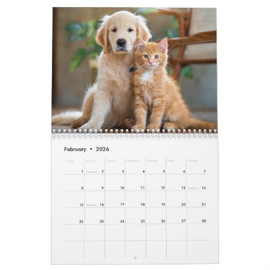 Furry Buddies Kalender (Feb 2026)