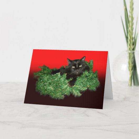 Furry Cat Holiday Card Feiertagskarte (Vorderseite)