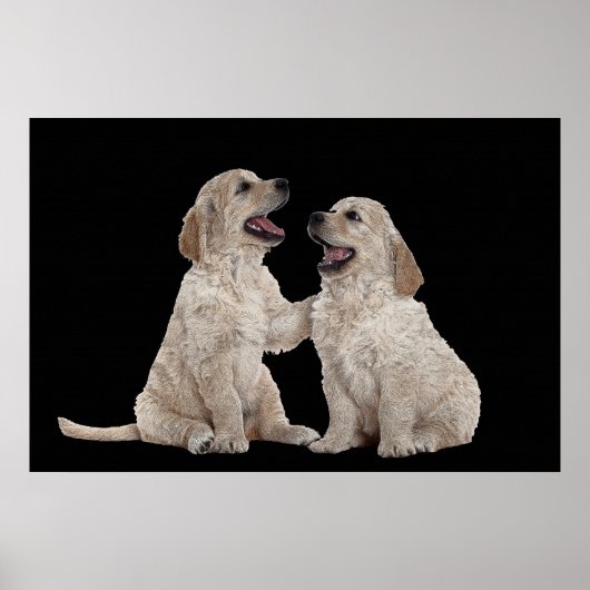 Furry Companions 36 x 24 Poster (Vorne)
