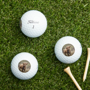 **"Furry Majestät: The Wooly Brown Highland Cow"** Golfball