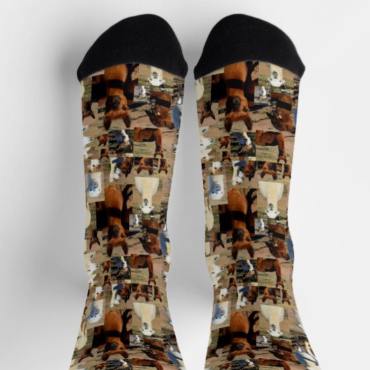 "Furry Moments: An Alpaca Foto Collage" Socken (Oben)