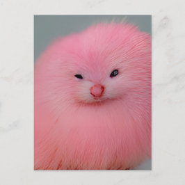 Furry Pink Critter Postkarte