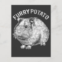 Furry Potato Niedlich Pet Guinea Pig Lover