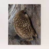 Furry Spiky Echidna Tierwelt, 520 Stück Puzzle (Vertikal)