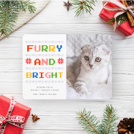 Furry und Bright | Weihnachtsfeiertag Cat Foto Feiertagskarte