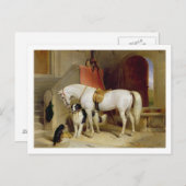 Fürst George's Favoriten (Öl auf Leinwand) Postkarte (Vorne/Hinten)