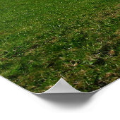 Fürstenturm Poster (Ecke)