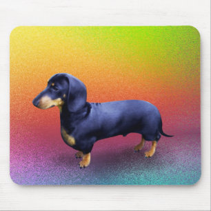 Fürstliche Dackel in einem Regenbogenmousepad Mousepad