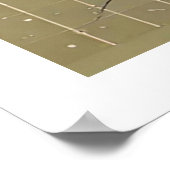 Fürteventura, Kanarische Inseln, Küste Poster (Ecke)