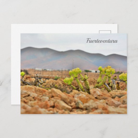 Fürteventura Postkarte (Vorne/Hinten)