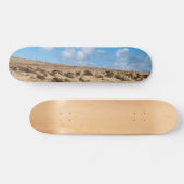 Fürteventura Skateboard (Horizontal)