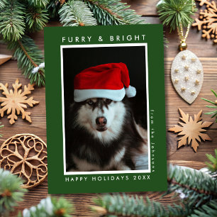 Fury & Bright Paw Print Green Pet Foto Weihnachten