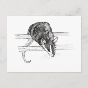 Furz mouse sketch postcard by Nicole Janes Postkarte