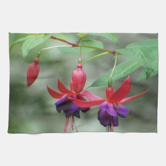 Fuschia1A.jpg Geschirrtuch (Horizontal)