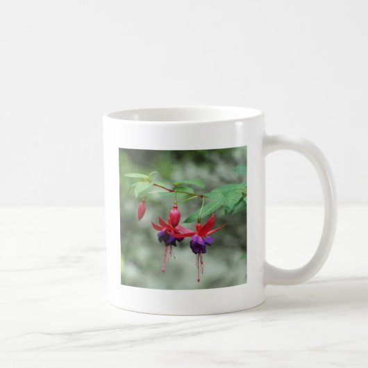 Fuschia1A.jpg Kaffeetasse (Rechts)