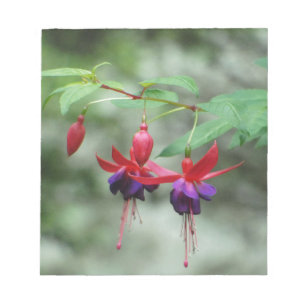 Fuschia1A.jpg Notizblock