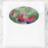 Fuschia1A.jpg Ovaler Aufkleber (Tasche)