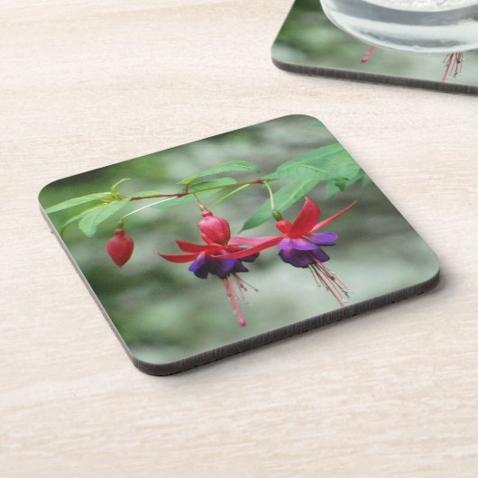 Fuschia1A.jpg Untersetzer (Linke Seite)