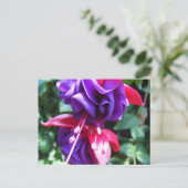 Fuschia 1 postkarte (Stehend Vorderseite)