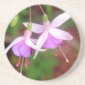 Fuschia Blume Getränkeuntersetzer (Vorne)