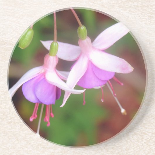 Fuschia Blume Getränkeuntersetzer (Vorne)