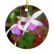 Fuschia Blume