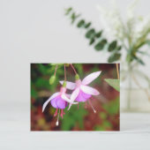 Fuschia Blume Postkarte (Stehend Vorderseite)