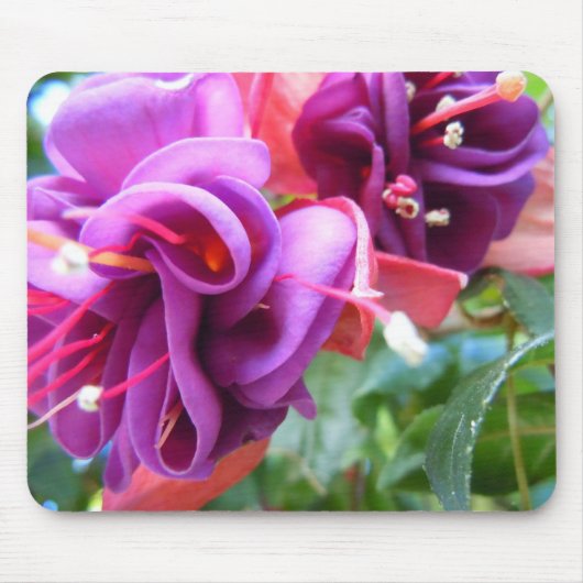 Fuschia Dio Mousepad (Vorne)