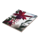 Fuschia Fliese (Seite)