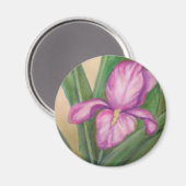 Fuschia-Iris-Magnet Magnet (Vorderseite/Rückseite)